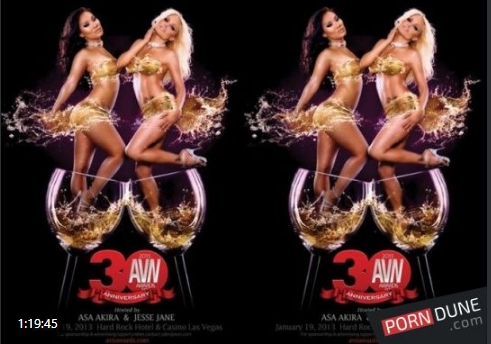 2013 AVN Awards Show
